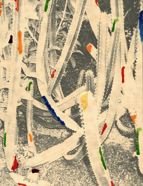 Bruno V. Roels - More Rarely The Totem Is a Plant, 2022