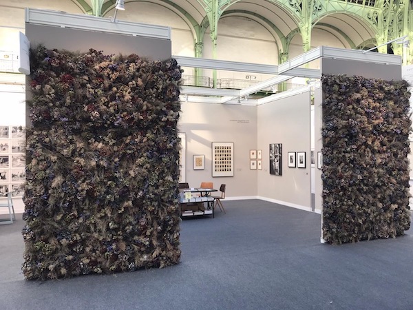 Paris Photo 2019 - Installation view (with floral installation by Thierry Boutemy)