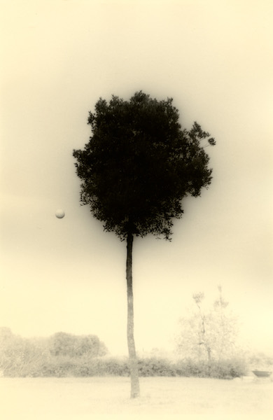 Masao Yamamoto