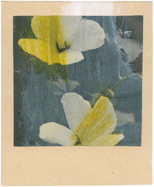 Katrien De Blauwer - Fake polaroids (11), 23.08.2019