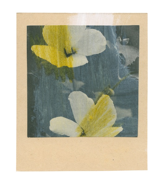Katrien De Blauwer - Fake polaroids (11), 23.08.2019