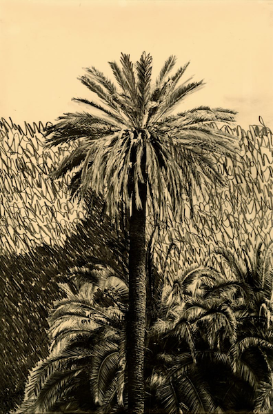 Bruno V. Roels - Getting Rid Of Palm Trees But Letting It Go, 2021