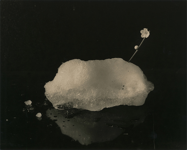 Masao Yamamoto, #6001, Tomosu, n.d., Gelatin silver print, printed 2023, 16,5 x 20,5 cm